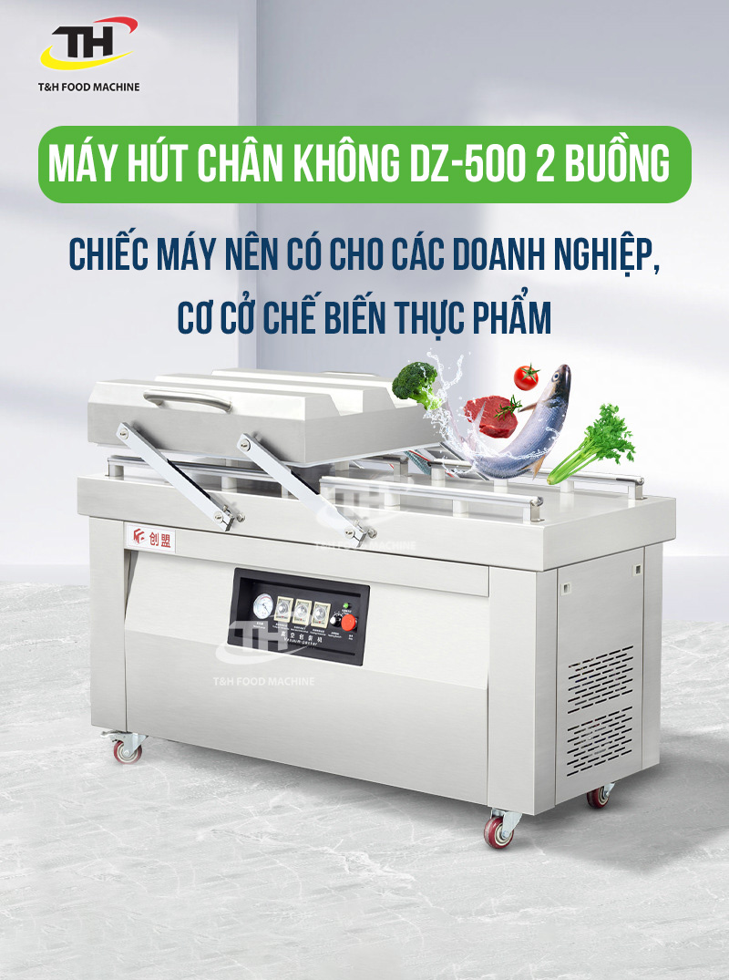 Máy Hút Chân Không DZQ 500 2S